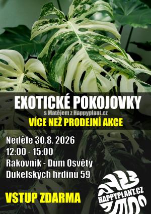 Exotické pokojovky